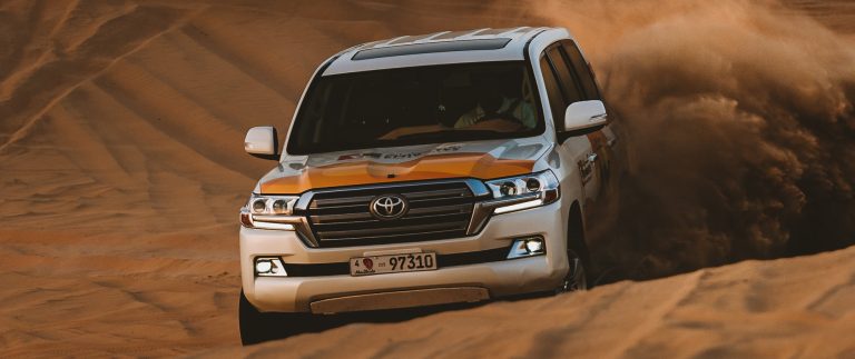 Sunrise safari with camel